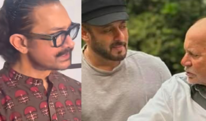 ‘সরাসরি দেখা হয়নি…’, বর্ষীয়ান সেলিম খানকে দেখে এসে আবেগী বার্তা আমিরের!