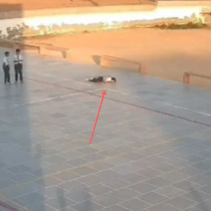 প্রার্থনার আগেই নিভে গেল প্রাণস্পন্দন! ৯ বছরের দিব্যার মৃত্যুতে শোকস্তব্ধ এলাকা, নেপথ্যে কি ঘাতক রোগ?