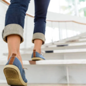 জিম যাওয়ার সময় নেই? রোজ সিঁড়ি ভাঙলেই কেল্লাফতে! বাড়বে আয়ু, কমবে হৃদরোগের ঝুঁকি