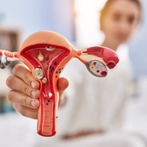 সাইলেন্ট কিলার ডিম্বাশয়ের ক্যান্সার! এই ৫টি সাধারণ লক্ষণ অবহেলা করলেই বিপদ