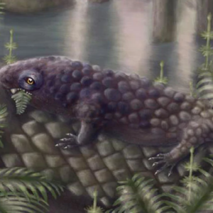 ৩০ কোটি বছর আগের ‘ভেজিটেরিয়ান’! পৃথিবীর প্রথম নিরামিষভোজী প্রাণীর হদিশ পেয়ে তাজ্জব বিজ্ঞানীরা