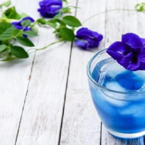 ওজন কমানো থেকে রোগ প্রতিরোধ—সব মুশকিল আসান হবে অপরাজিতার জাদুকরী চায়ে!