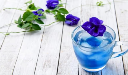 ওজন কমানো থেকে রোগ প্রতিরোধ—সব মুশকিল আসান হবে অপরাজিতার জাদুকরী চায়ে!