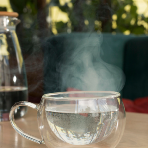 সুস্থ থাকার ‘সুপার টিপস’! ওষুধ ছাড়াই যেসব মারণ রোগ তাড়াবে এক গ্লাস ঈষদুষ্ণ জল