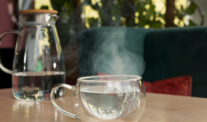 সুস্থ থাকার ‘সুপার টিপস’! ওষুধ ছাড়াই যেসব মারণ রোগ তাড়াবে এক গ্লাস ঈষদুষ্ণ জল