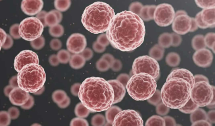 জরায়ু থেকে ফুসফুসের ক্যানসার— সব চিকিৎসায় এবার ঘরের কাছে! বড় ঘোষণা মুর্শিদাবাদ মেডিক্যাল কর্তৃপক্ষের