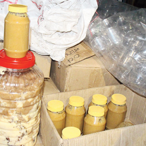 সাবধান! উৎসবের পাতে বিষ? উত্তরপ্রদেশে উদ্ধার ১০ হাজার কেজি পচা খেজুর ও নকল ঘি!