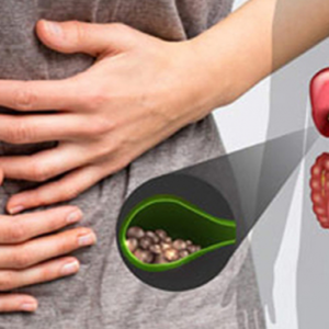 পিত্তথলিতে পাথরের যন্ত্রণায় ভুগছেন? অজান্তেই আপনার এই ভুল অভ্যাসগুলোই বিপত্তি ডেকে আনছে!