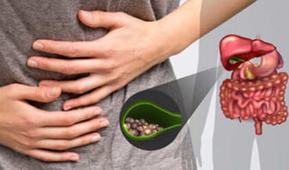 পিত্তথলিতে পাথরের যন্ত্রণায় ভুগছেন? অজান্তেই আপনার এই ভুল অভ্যাসগুলোই বিপত্তি ডেকে আনছে!