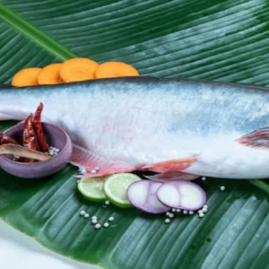 পাঙ্গাস মাছ কি সত্যিই বিষ? খাওয়ার আগে জানুন গা শিউরে ওঠা এই তথ্য!