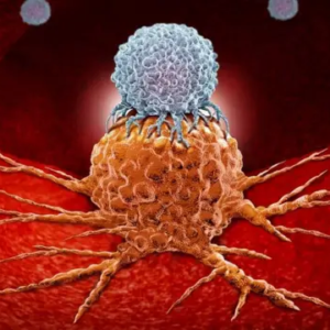 মারণ রোগ কি এবার হার মানবে? ক্যানসার জয় করতে বিজ্ঞানের হাতে এল নতুন ‘ব্রহ্মাস্ত্র’