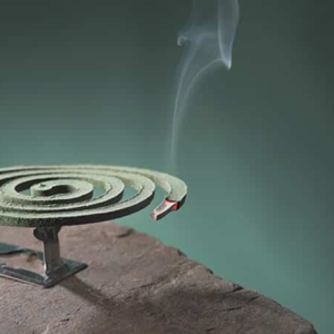 মশার ধূপকে বলুন বিদায়! জানুন ঘরোয়া উপায়ে মশা তাড়ানোর ৫টি ম্যাজিক কৌশল