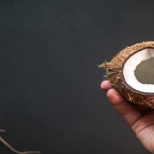 শরীরে বাসা বেঁধেছে নানা জটিল সমস্যা? এক টুকরো নারকেলের গুণেই হবে মুশকিল আসান!