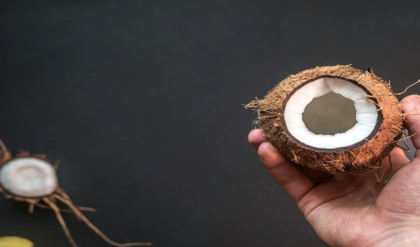 শরীরে বাসা বেঁধেছে নানা জটিল সমস্যা? এক টুকরো নারকেলের গুণেই হবে মুশকিল আসান!