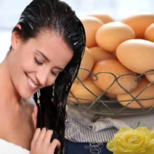 চুলে ডিম দেওয়ার পর গন্ধে টেকা দায়? শ্যাম্পুর সঙ্গে এই ১টি জিনিস মেশালেই হবে ম্যাজিক!