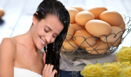 চুলে ডিম দেওয়ার পর গন্ধে টেকা দায়? শ্যাম্পুর সঙ্গে এই ১টি জিনিস মেশালেই হবে ম্যাজিক!