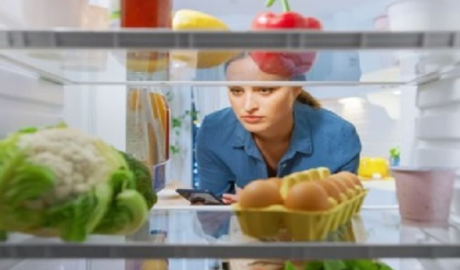 অজান্তেই শরীরে ঢুকছে মারণ রোগ! ফ্রিজে খাবার সংরক্ষণের এই মারাত্মক ভুলগুলো আপনিও করছেন না তো?