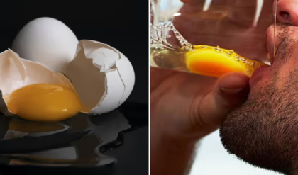 কাঁচা ডিম খেলেই কি রাতারাতি বাড়বে পেশি? আসল সত্যিটা জানলে আজই এই অভ্যাস বদলে ফেলবেন!
