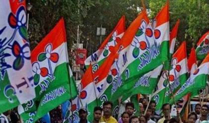 ‘মারি নি তো, শুধু ধমকেছি!’ রোগী দেখতে না চাওয়ায় চিকিৎসককে মারধরে অভিযুক্ত তৃণমূল নেতা