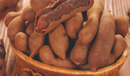 পার্লারের খরচ বাঁচান তেঁতুলে! কালচে দাগ দূর করে ফর্সা উজ্জ্বল ত্বক পাওয়ার জাদুকরী টিপস