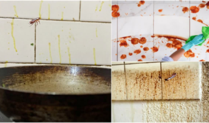 ঘণ্টার পর ঘণ্টা ঘষাঘষি আর নয়! ৫ মিনিটেই রান্নাঘরের জেদি তেলচিটে দাগ হবে ভ্যানিশ