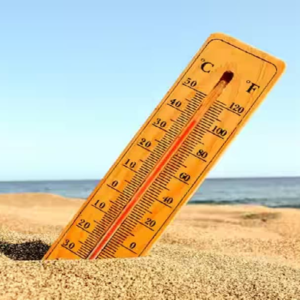 মার্চেই কি ৪০ ডিগ্রির ঝাপটা? আলিপুর আবহাওয়া দপ্তরের পূর্বাভাসে চিন্তার ভাঁজ বঙ্গে