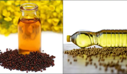 সয়াবিন না কি সরিষা? কোন তেল হার্টের জন্য সবচেয়ে নিরাপদ? পুষ্টিবিদের তথ্যে তোলপাড়!