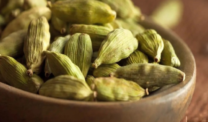 বাড়ির আঙিনায় এলাচ চাষে বাজিমাত! এই গোপন নিয়ম মানলেই ফলবে ‘সুগন্ধি সোনা’