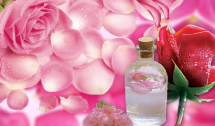 বাজারের কেমিক্যালযুক্ত গোলাপ জলকে জানান বিদায়! ঘরেই তৈরি করুন রূপচর্চার আসল ম্যাজিক