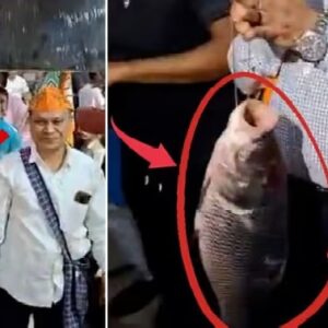 “BJP মাছ বিরোধী নয়”-হাতে পেল্লায় কাতলা নিয়ে বাজারে প্রচার বিজেপি প্রার্থীর!