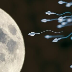 মহাকাশে মিলবে না ‘সন্তান সুখ’? এলন মাস্কের মঙ্গল-জয়ের স্বপ্নে জল ঢালল নতুন গবেষণা!