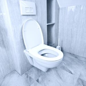 পরিষ্কার বাথরুমেও ভ্যাপসা গন্ধ? শুধু ফ্লাশ করলেই হবে না, জেনে নিন দুর্গন্ধ তাড়ানোর আসল রহস্য!