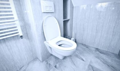 পরিষ্কার বাথরুমেও ভ্যাপসা গন্ধ? শুধু ফ্লাশ করলেই হবে না, জেনে নিন দুর্গন্ধ তাড়ানোর আসল রহস্য!