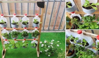 ঘরের কোণে আবর্জনার স্তূপ? ফিনাইল বোতল দিয়ে তৈরি করুন এই ৩টি ঘর সাজানোর জিনিস!