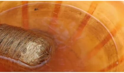 তৃণমূল কর্মীর উঠোনে রাখা ‘যমদূত’! জোড়া তাজা বোমা উদ্ধারে রণক্ষেত্র এলাকা