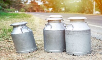 এক গ্লাস দুধেই শেষ জীবন! বমি আর অসহ্য পেটে ব্যথার নেপথ্যে ভয়ঙ্কর পর্দাফাস, স্তম্ভিত চিকিৎসকরা