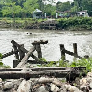 কোথাও উত্তাল ব্রহ্মপুত্র, কোথাও দুর্গম পাহাড়! গণতন্ত্রের টানে জীবন বাজি রেখে ভোটকেন্দ্রে কর্মীরা