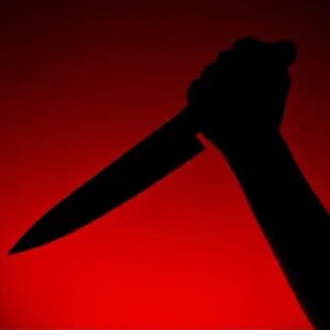 ‘মা, বাড়িতে সারপ্রাইজ আছে!’ বোনকে ৮৪ বার কোপানোর পর মাকেও খুনের চেষ্টা ইঞ্জিনিয়ার ছেলের