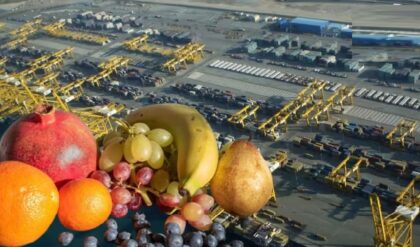 আঙুর-ডালিম থেকে চিনি—যুদ্ধের আগুনে পুড়ছে ভারতের রফতানি বাজার! কৃষকদের জন্য বড় দুঃসংবাদ!