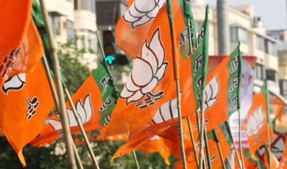 ‘তৃণমূলকে মূল থেকে উপড়ে ফেলতে চাই!’ বিজেপির টিকিটে এবার ভোটের ময়দানে অভয়ার মা?