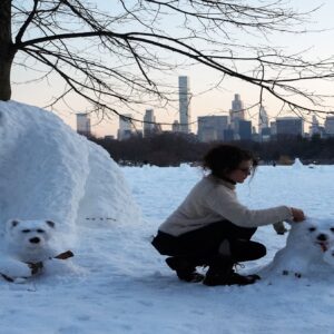 লোকালয়ে সাক্ষাৎ ‘মেরু ভাল্লুক’! বরফ পড়তেই শহরের রাস্তায় সাদা দানবের দাপট, হাড়হিম করা কাণ্ড!