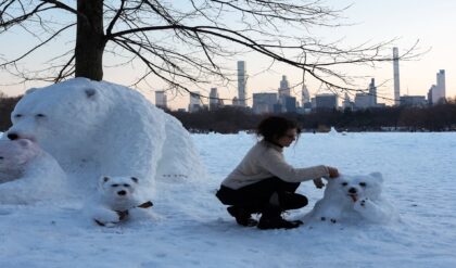 লোকালয়ে সাক্ষাৎ ‘মেরু ভাল্লুক’! বরফ পড়তেই শহরের রাস্তায় সাদা দানবের দাপট, হাড়হিম করা কাণ্ড!