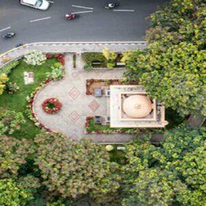 সবুজ-গোলাপি মায়ায় মোড়া বেঙ্গালুরু! শহরের বসন্তকালীন রূপ দেখে কেন অবাক হচ্ছেন নতুন বাসিন্দারা?