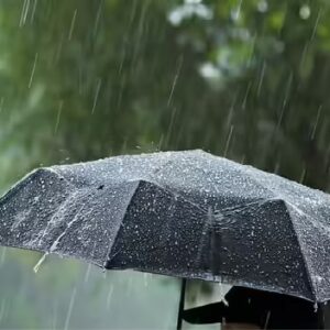 দোলের রেশ কাটতেই ঝমঝমিয়ে বৃষ্টি! সপ্তাহান্তে ভিজবে বাংলার এই জেলাগুলো, বড় আপডেট আবহাওয়া দপ্তরের