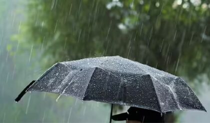 দোলের রেশ কাটতেই ঝমঝমিয়ে বৃষ্টি! সপ্তাহান্তে ভিজবে বাংলার এই জেলাগুলো, বড় আপডেট আবহাওয়া দপ্তরের