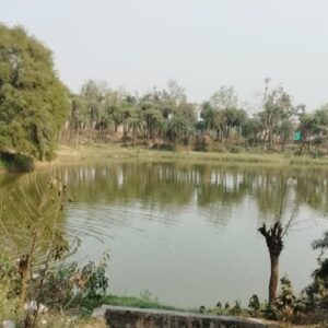 স্নানে নেমেই বিপর্যয়! বন্ধুদের চোখের সামনেই পুকুরের অতলে ২ প্রাণ, হোলির দিনে হাহাকার ঘরে ঘরে