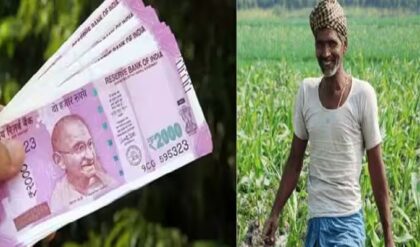 কৃষকদের জন্য বাম্পার ধামাকা! পিএম কিষাণে এবার মাসে ৩০০০ টাকা পাবেন অন্নদাতারা, জানুন আবেদনের পদ্ধতি