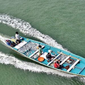 মৎস্যজীবীদের হাতে এবার ‘ম্যাজিক’ যন্ত্র! কীভাবে মাঝসমুদ্রে মাছের হদিস দিচ্ছে জিপিএস?