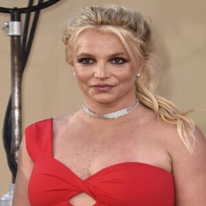 মাঝরাস্তায় পুলিশের হাতে আটক ব্রিটনি স্পিয়ার্স! মদ্যপ অবস্থায় কেন স্টিয়ারিং ধরলেন গায়িকা?