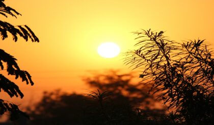 চৈত্রেই বৈশাখের দহন! দোলের আগে ৩৫ ডিগ্রিতে চড়বে পারদ, ঘাম ঝরিয়েই কি বসন্ত উৎসব?